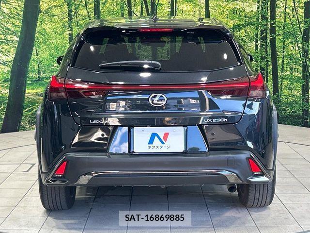 Lexus UX 2020-10 8666432-13