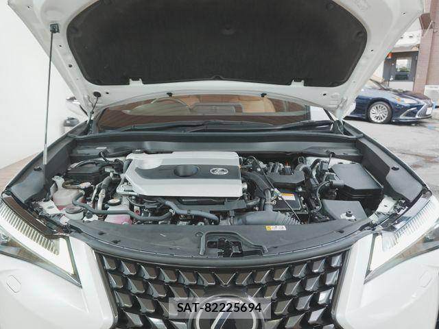 Lexus UX 2023-07 8685882-12