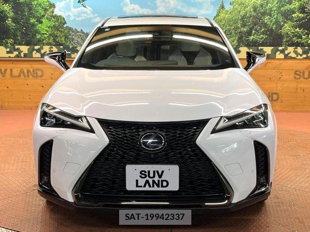 Lexus UX 2021-01 8685879-15
