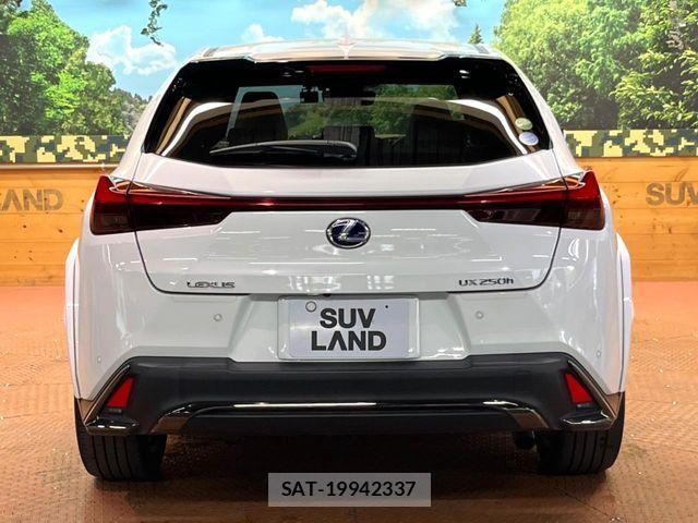 Lexus UX 2021-01 8685879-16