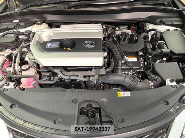 Lexus UX 2021-01 8685879-17