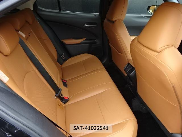 Lexus UX 2021-01 8685880-11