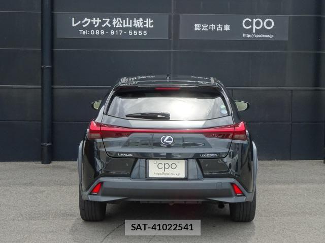 Lexus UX 2021-01 8685880-4