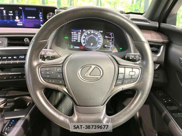 Lexus UX 2019-12 8743534-11