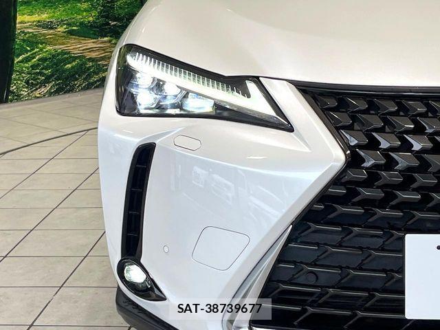 Lexus UX 2019-12 8743534-12