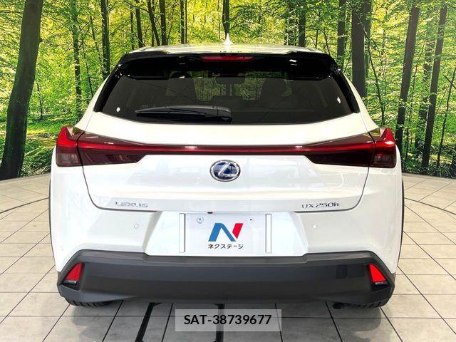 Lexus UX 2019-12 8743534-15
