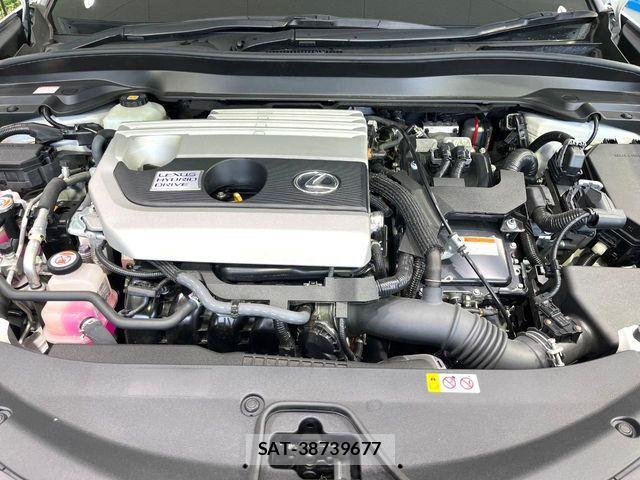 Lexus UX 2019-12 8743534-17