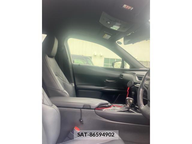 Lexus UX 2019-03 8743542-17
