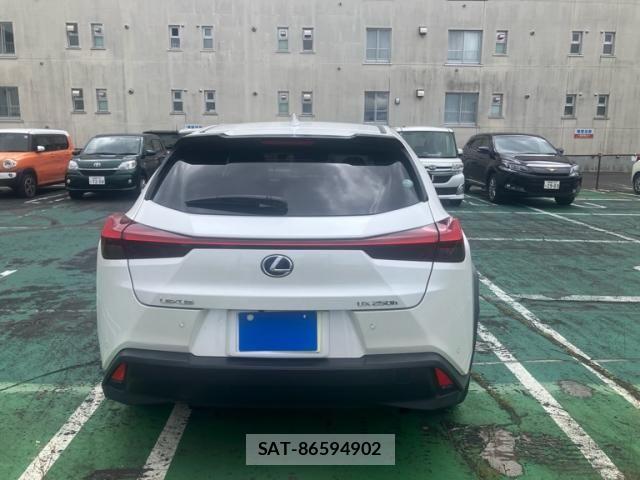 Lexus UX 2019-03 8743542-1