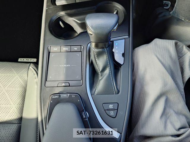 Lexus UX 2021-07 8743540-17