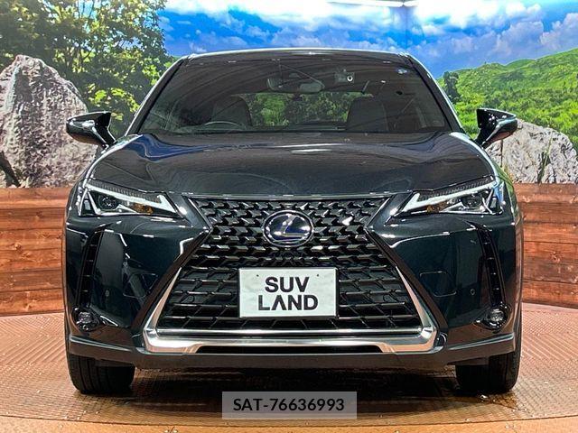Lexus UX 2021-07 8796524-13