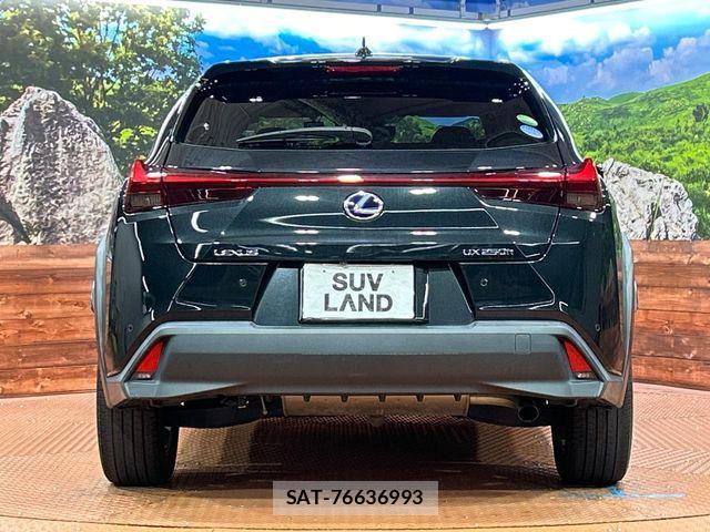 Lexus UX 2021-07 8796524-14