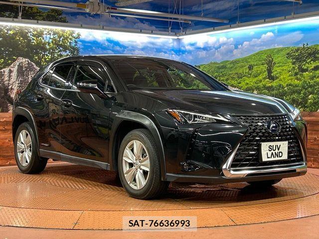 Lexus UX 2021-07 8796524-15