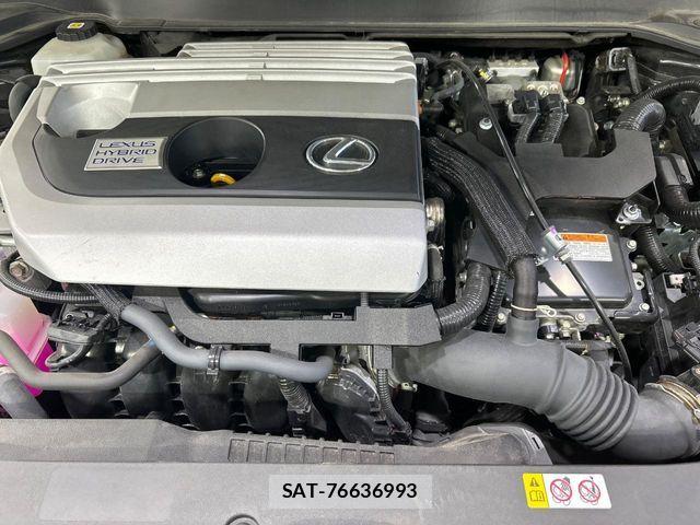 Lexus UX 2021-07 8796524-17