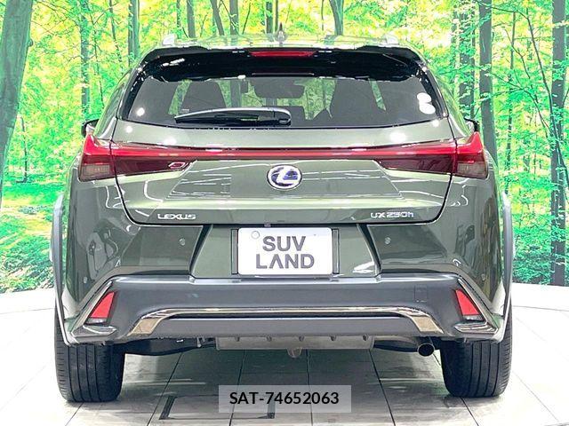 Lexus UX 2020-01 8796526-16