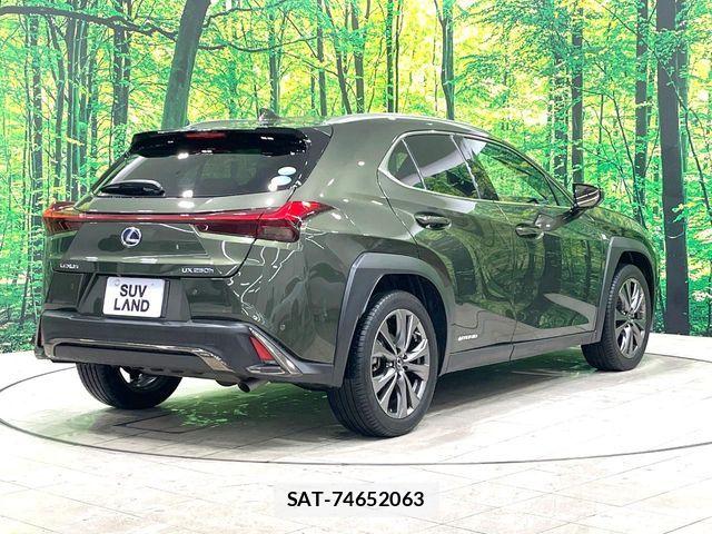 Lexus UX 2020-01 8796526-18