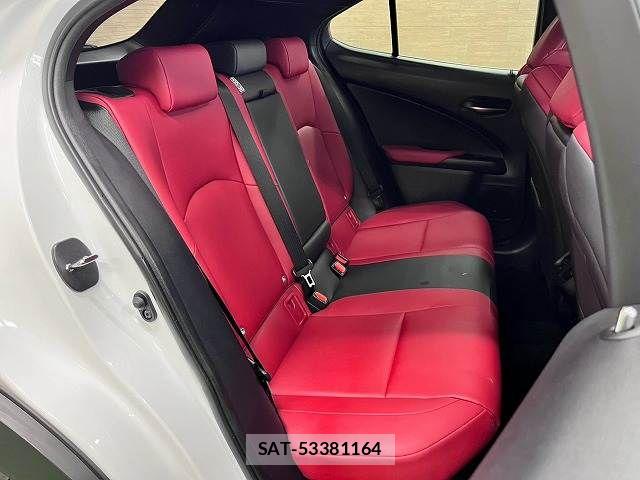 Lexus UX 2019-10 8796525-11
