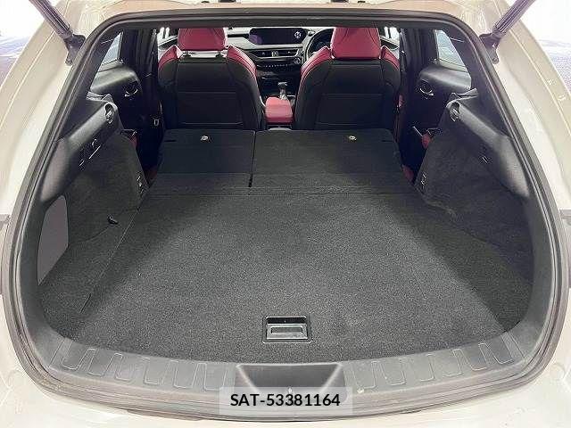 Lexus UX 2019-10 8796525-12