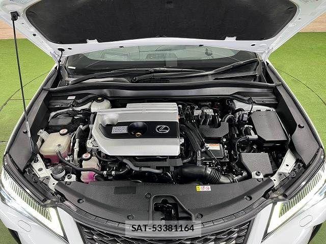Lexus UX 2019-10 8796525-13
