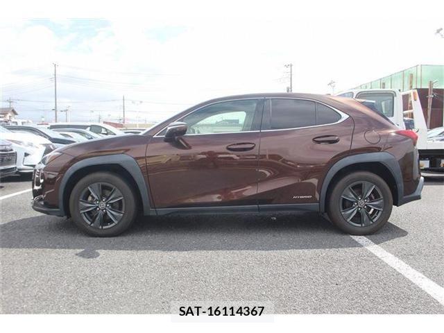 Lexus UX 2020-11 8796527-10