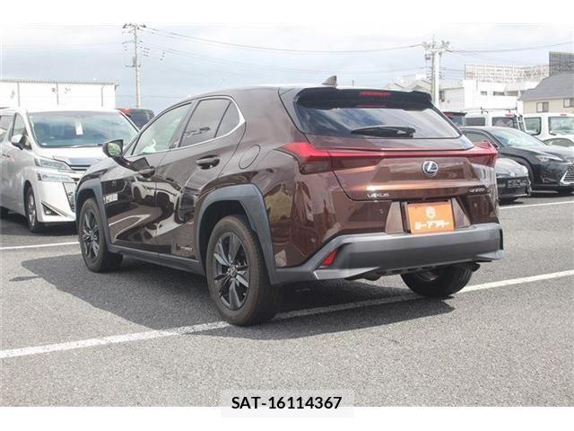 Lexus UX 2020-11 8796527-11