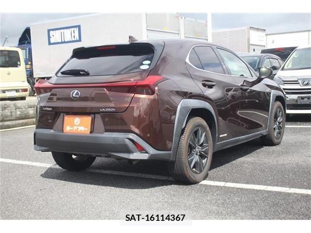 Lexus UX 2020-11 8796527-13