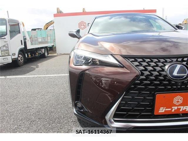 Lexus UX 2020-11 8796527-21