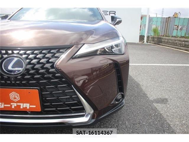 Lexus UX 2020-11 8796527-23
