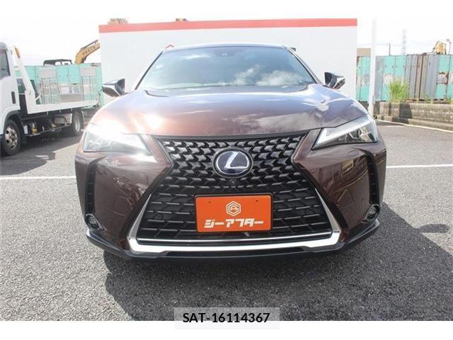 Lexus UX 2020-11 8796527-8