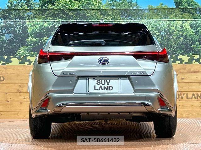 Lexus UX 2019-03 8796522-14