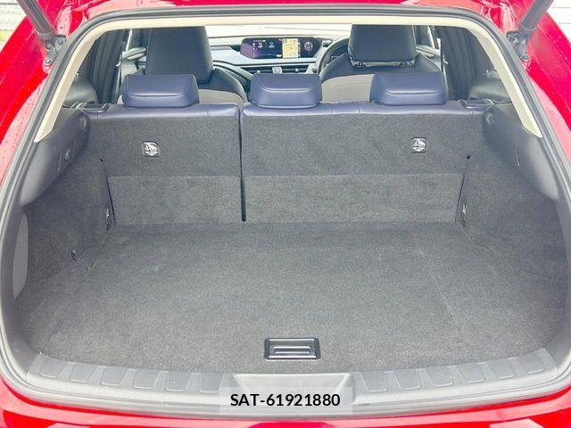 Lexus UX 2020-09 8796529-12