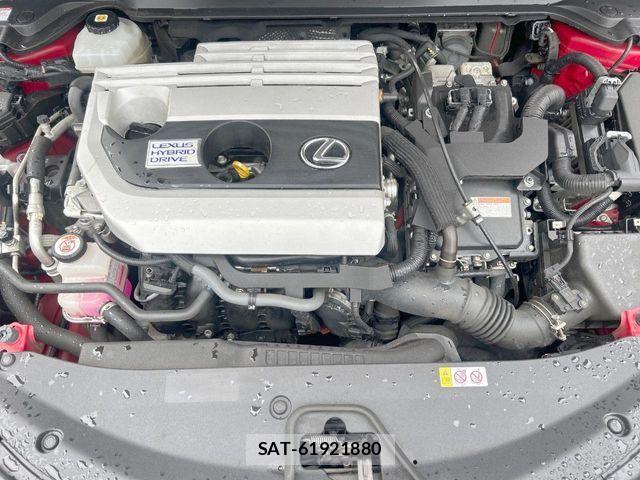 Lexus UX 2020-09 8796529-19
