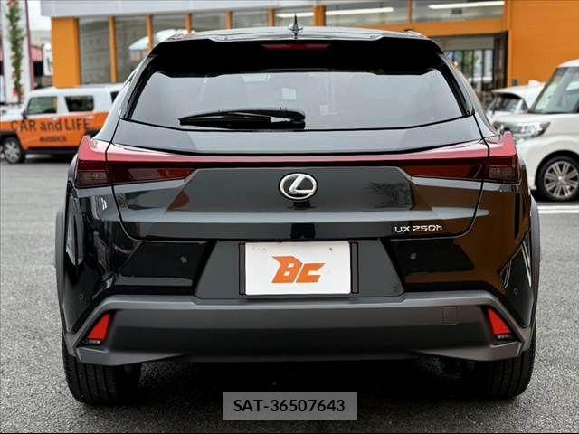 Lexus UX 2023-09 8830040-13