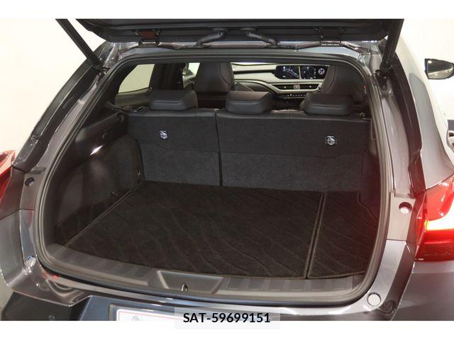 Lexus UX 2021-12 8830039-21