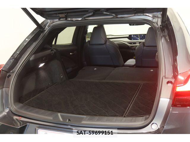 Lexus UX 2021-12 8830039-22