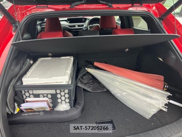 Lexus UX 2021-11 8830048-25
