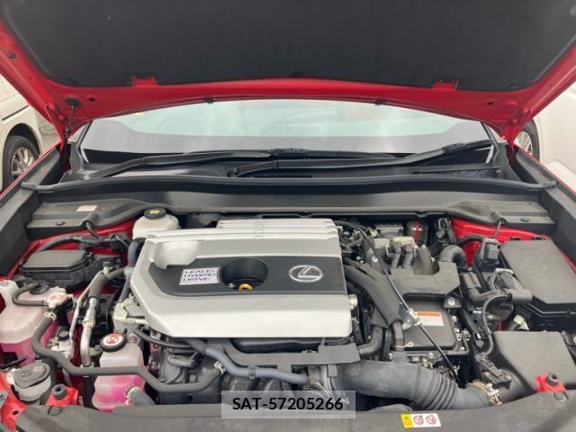 Lexus UX 2021-11 8830048-28