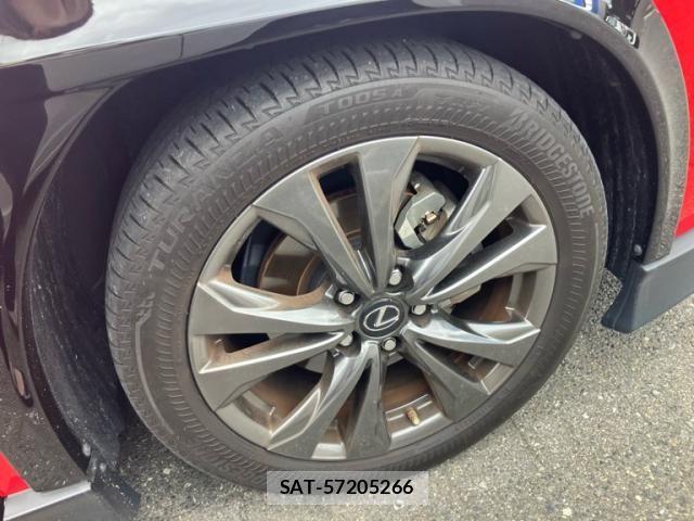 Lexus UX 2021-11 8830048-5