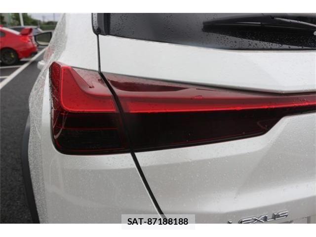 Lexus UX 2019-09 8830049-17