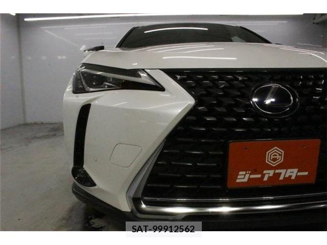 Lexus UX 2019-06 8830047-10