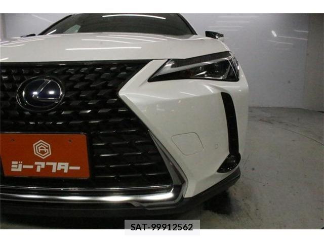 Lexus UX 2019-06 8830047-13