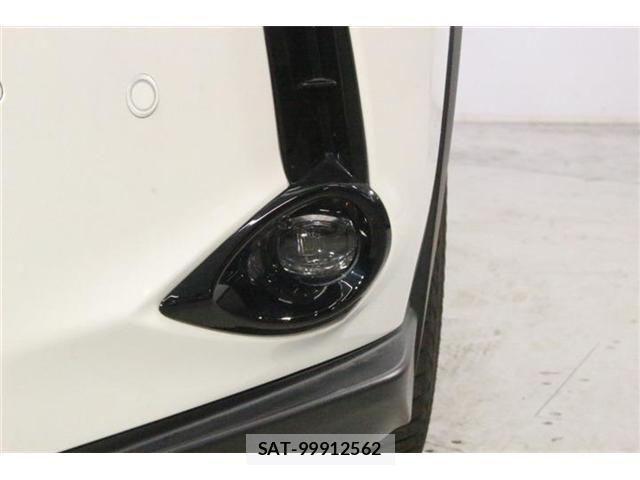 Lexus UX 2019-06 8830047-15