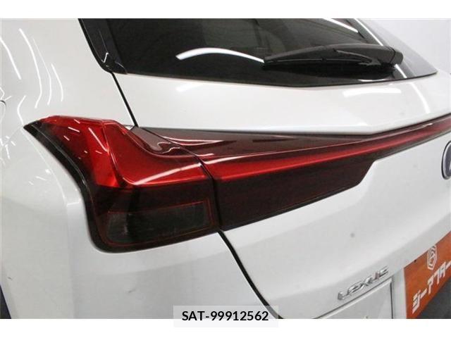 Lexus UX 2019-06 8830047-17