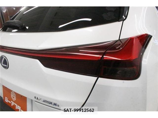 Lexus UX 2019-06 8830047-18