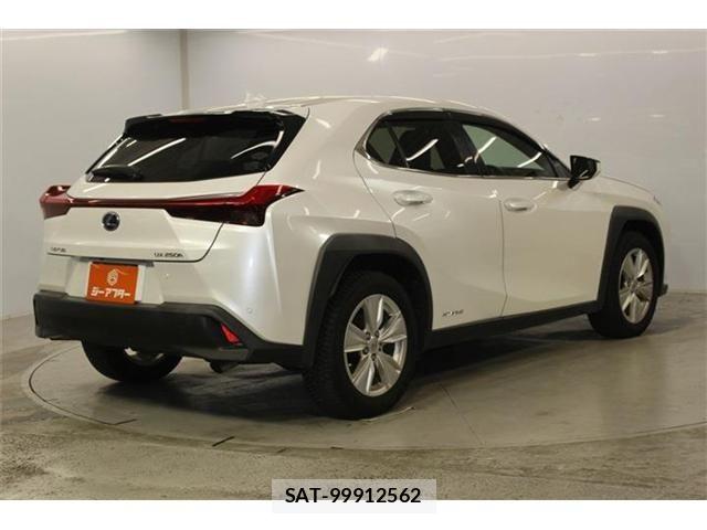 Lexus UX 2019-06 8830047-4