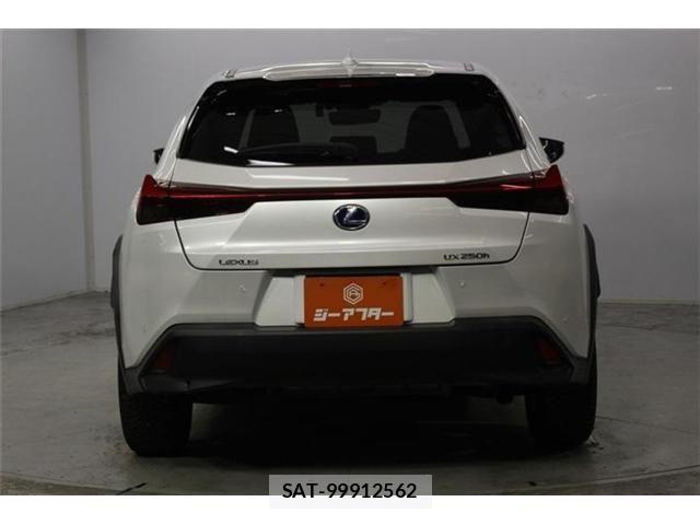 Lexus UX 2019-06 8830047-5