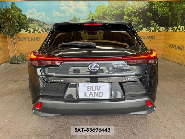 Lexus UX 2019-04 8830050-15