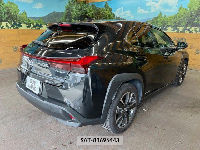 Lexus UX 2019-04 8830050-17