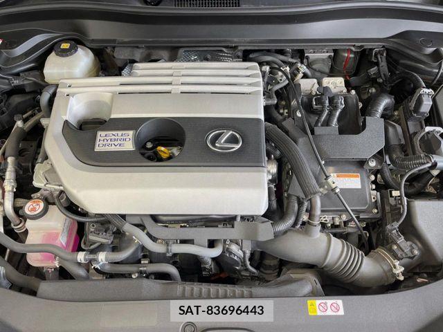Lexus UX 2019-04 8830050-18