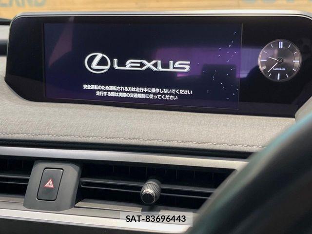 Lexus UX 2019-04 8830050-2